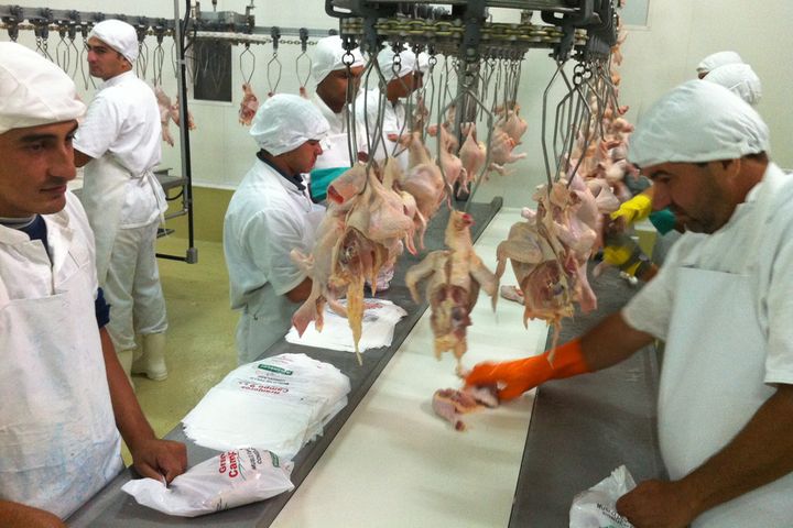 Direitos do trabalhador de frigorífico